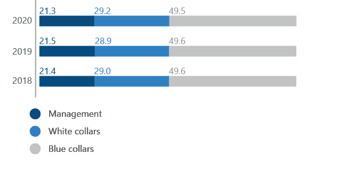 Staff composition by categories, %